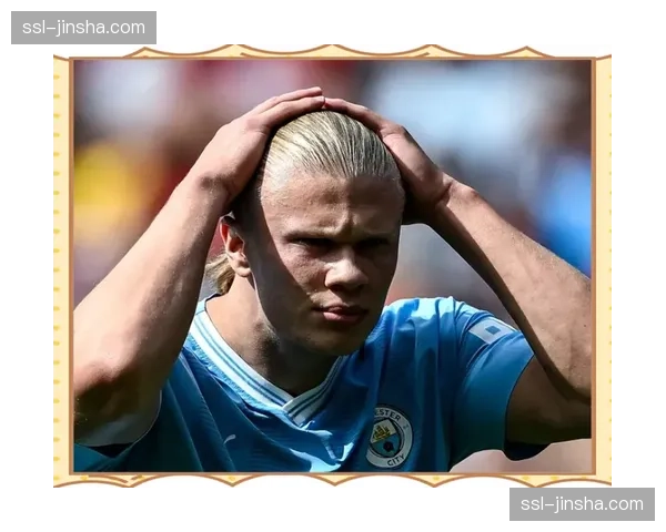 哈兰德接受BBC专访,谈英超金靴卫冕目标 哈兰德接受BBC专访,谈英超金靴卫冕目标